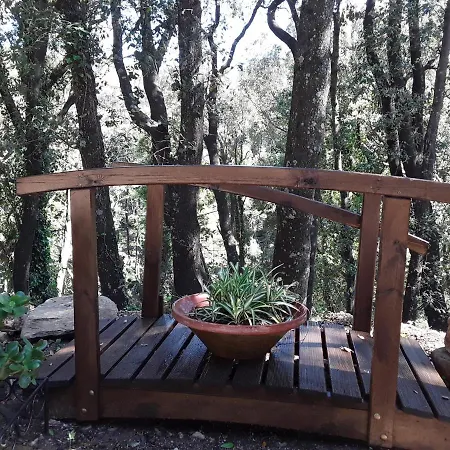 Apartamento Pietracorbara Les Chênes Oreta