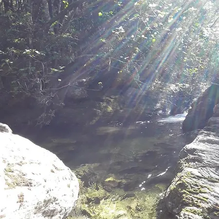 Pietracorbara Les Chênes * Oreta