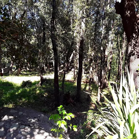 Pietracorbara Les Chênes *