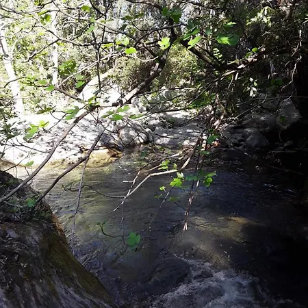 Pietracorbara Les Chênes