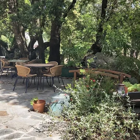 Pietracorbara Les Chênes * Oreta