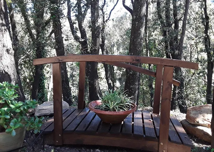 Appartement Pietracorbara Les Chênes Oreta