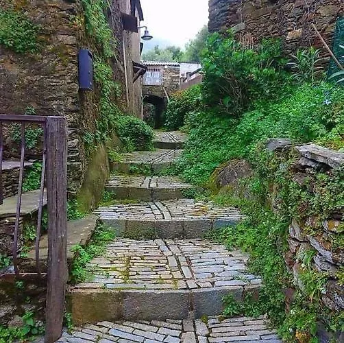 Appartement Pietracorbara Les Chênes *