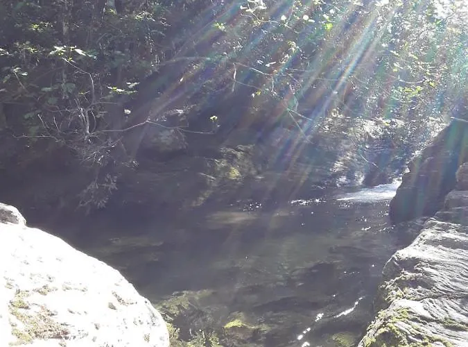 Pietracorbara Les Chênes * Oreta