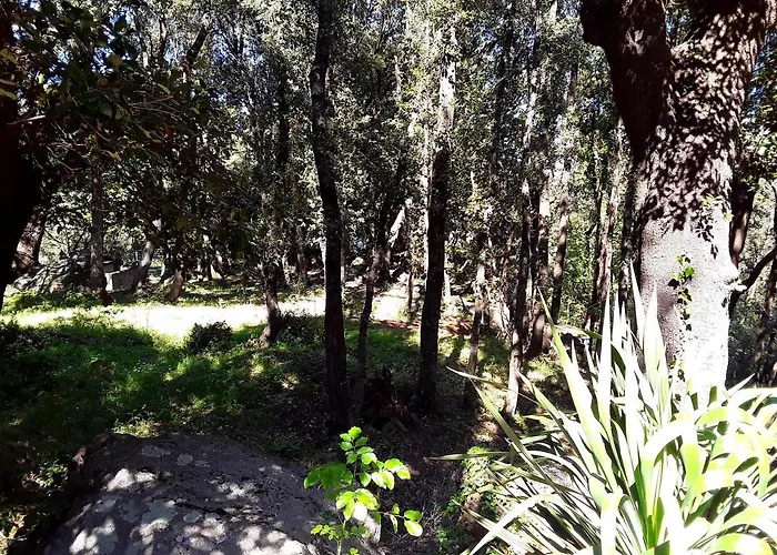 Pietracorbara Les Chênes *