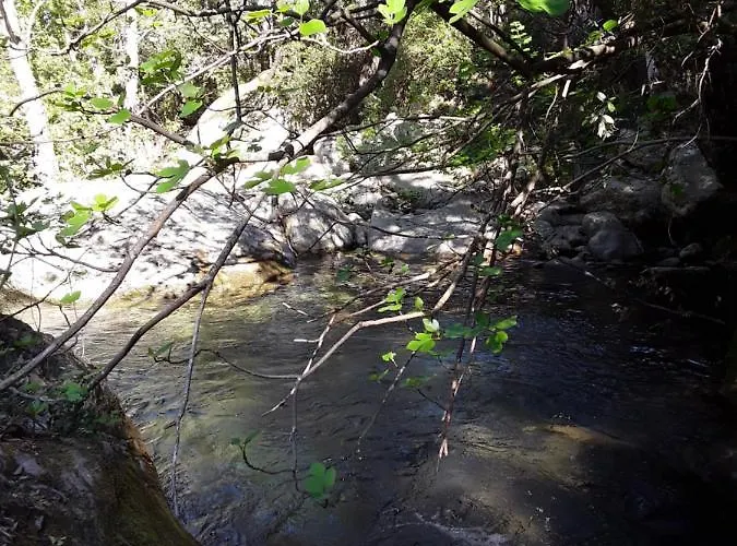 Pietracorbara Les Chênes