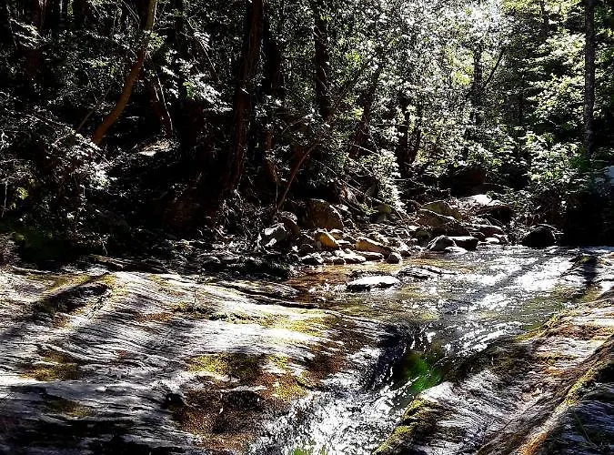 Pietracorbara Les Chênes