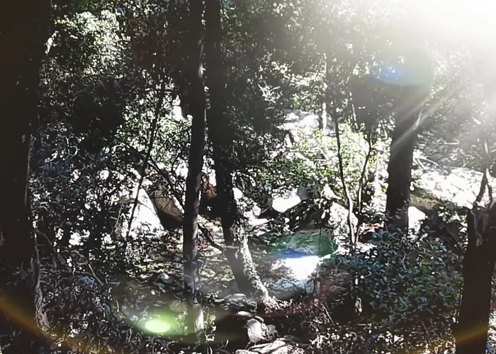 Pietracorbara Les Chênes *